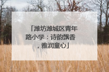 潍坊潍城区青年路小学：诗韵飘香，雅润童心